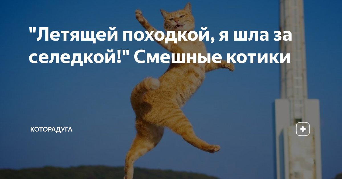 Красивая походка и правильная осанка (на Красном Пути) в Омске: для девочек 12-1