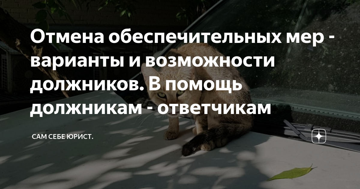 Отмена обеспечительных мер - варианты и возможности должников. В помощь ...