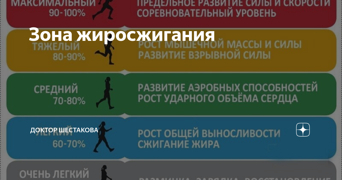 Японские упражнения быстрого жиросжигания. Зона жиросжигания. Тренировка для жиросжигания. Эффективная тренировка на жиросжигание.