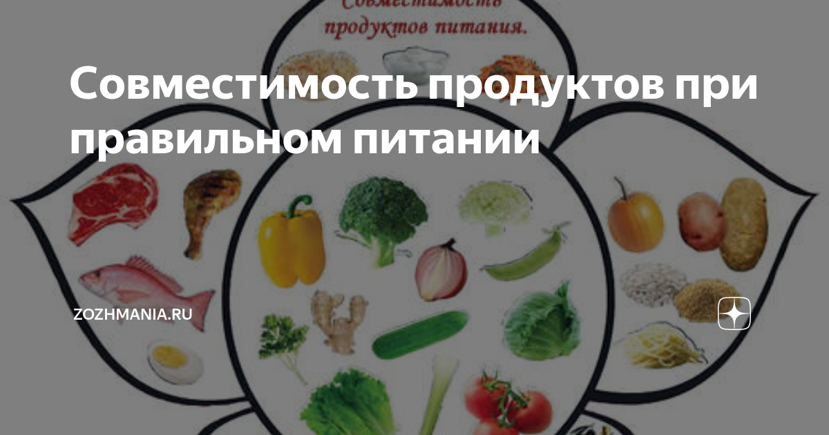 Совместимость продуктов при правильном питании | ZozhMania.ru | Дзен