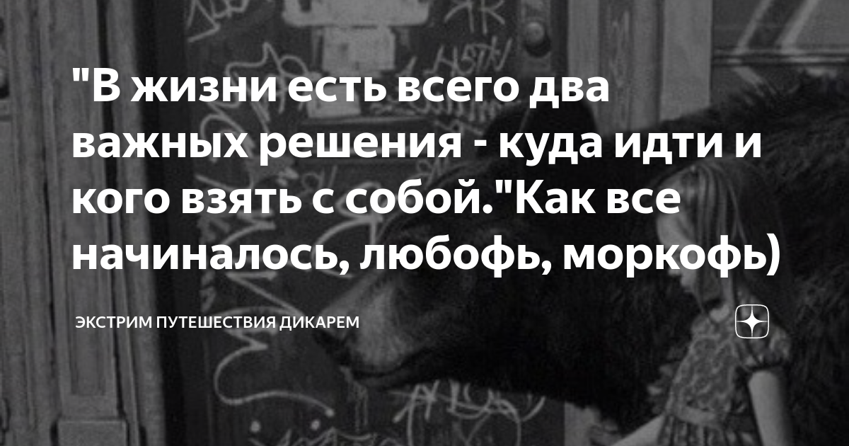 В жизни есть всего два важных решения куда идти и кого взять с собой картинки