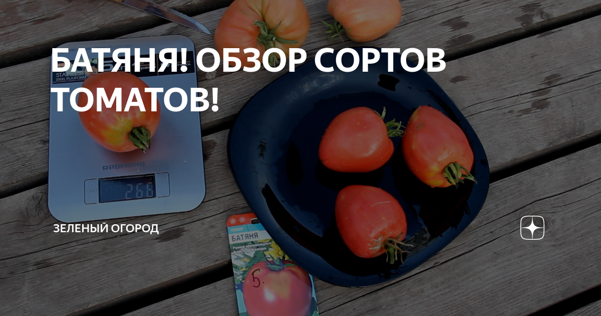 БАТЯНЯ! ОБЗОР СОРТОВ ТОМАТОВ! Зеленый Огород Дзен