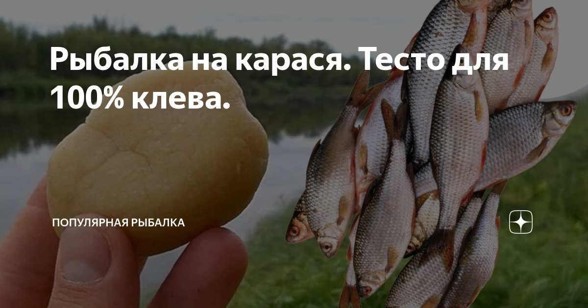 Как ловить карася на тесто? Делаем тесто для рыбалки