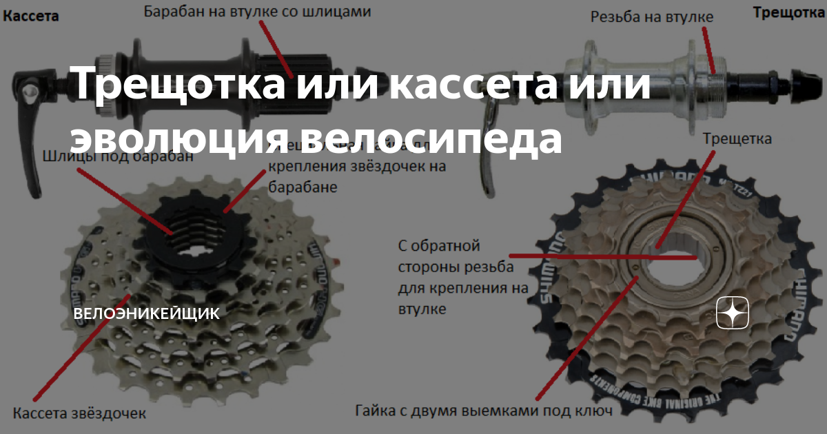 Чем отличается кассета от трещотки. Кассета и трещотка велосипеда отличия. Кассета трещетка разница. Отличие кассеты от трещетки на велосипеде. Как отличить трещетку от кассеты.