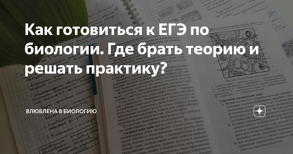 как готовиться к егэ по биологии