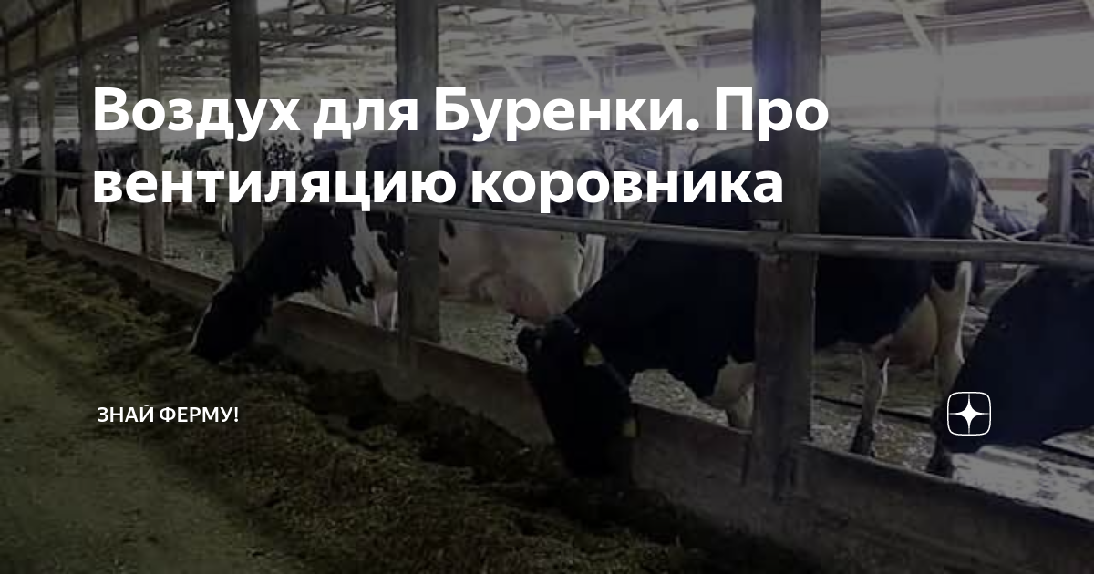 Вентиляция в конюшне своими руками