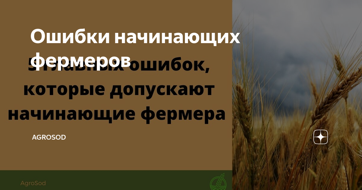 Сельский час белобрысый кубанский колхозник. Ошибки фермеров. Проблема у фермера фото. Южная осетия село ионча. Работа в поле.
