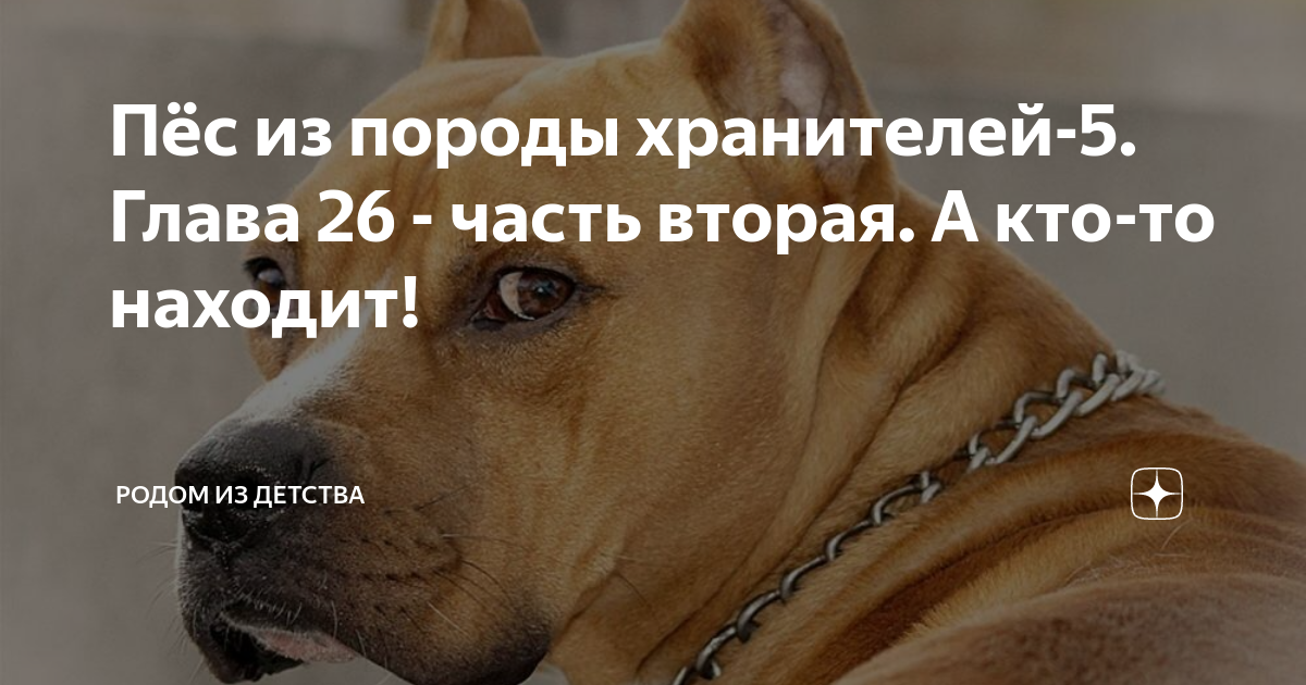 Пёс из породы хранителей-5. Глава 26 - часть вторая. А кто-то находит ...