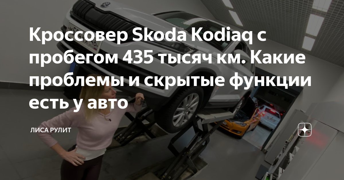 Лиса рулит магазин автомобилей