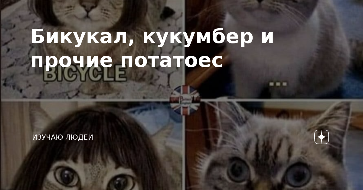 Бикукал, кукумбер и прочие потатоес | Изучаю людей | Дзен