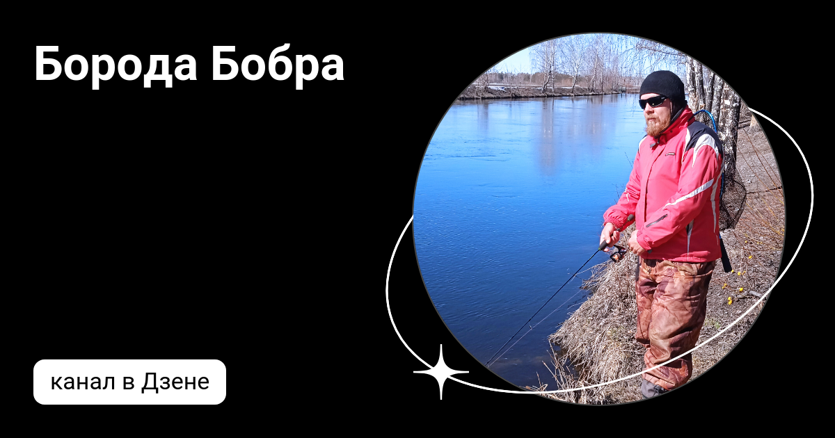Дзен бобер о бразилии. Дзен бобер о бразилии