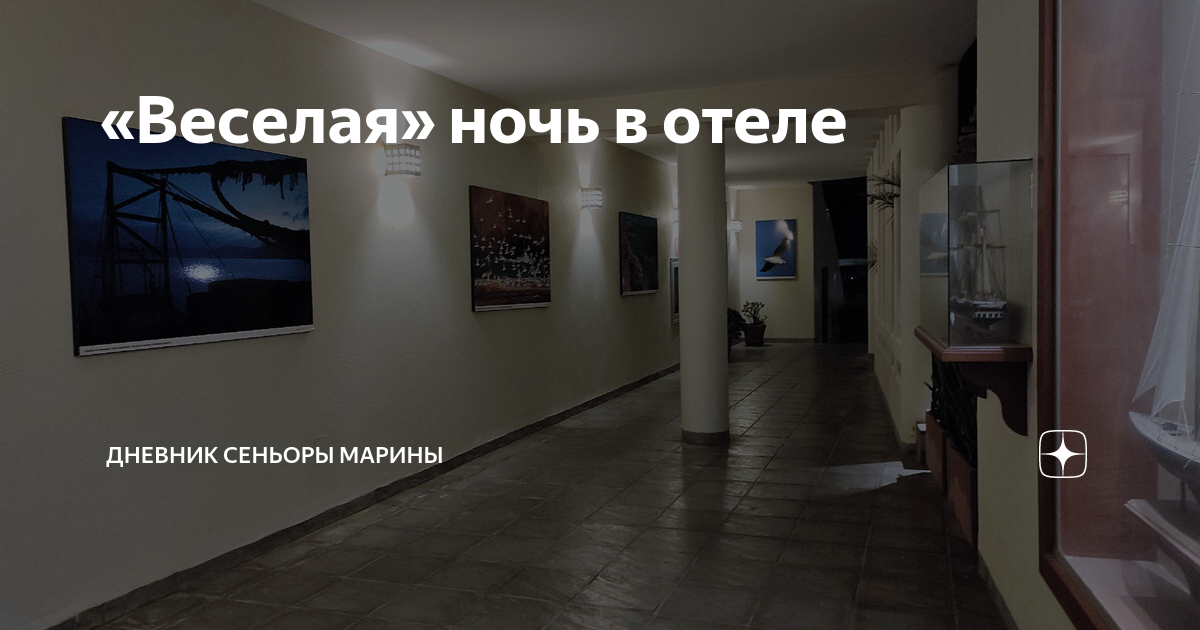 «Веселая» ночь в отеле | Дневник сеньоры Марины | Дзен