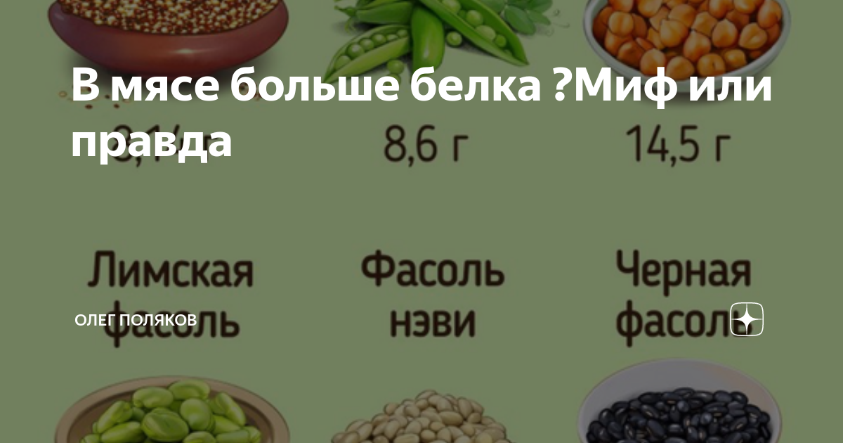 Белок в еде. Спортивное питание. Белок мифы. Протеин фирма proscience. Протеин для набора мышечной массы.