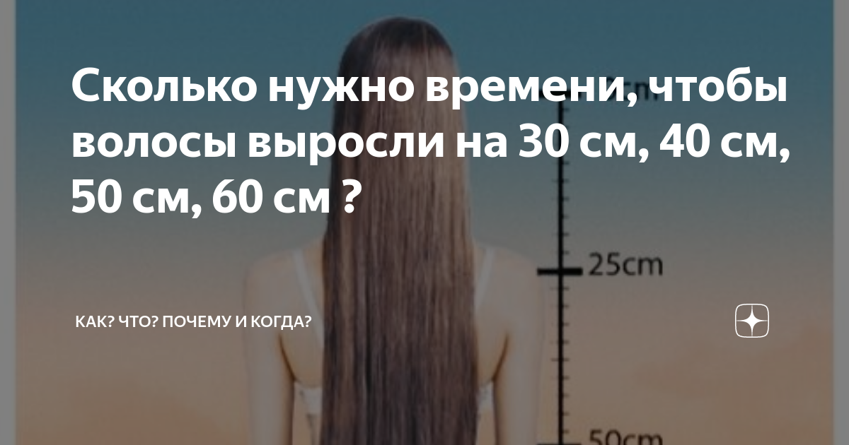 Сколько нужно времени, чтобы волосы выросли на 30 см, 40 см, 50 см, 60 см ?  | ПРО БУДИЛЬНИК | Дзен