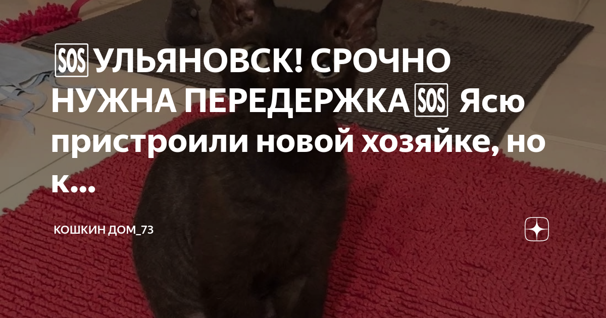 🆘УЛЬЯНОВСК! СРОЧНО НУЖНА ПЕРЕДЕРЖКА🆘 Ясю пристроили новой хозяйке, но к ...
