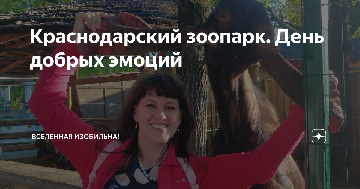 Краснодарский зоопарк. День добрых эмоций | Вселенная изобильна! | Дзен