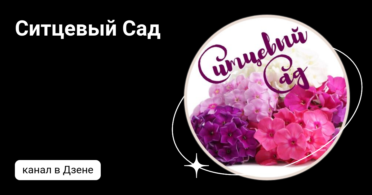 Ситцевый Сад | Дзен