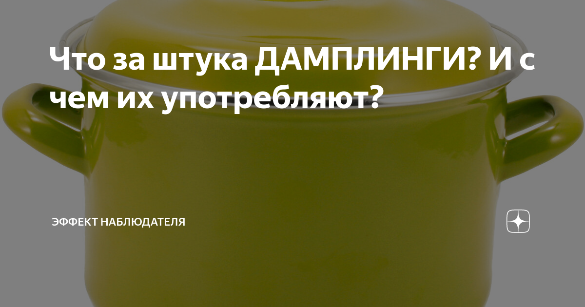 Что за штука ДАМПЛИНГИ? И с чем их употребляют? | Эффект наблюдателя | Дзен