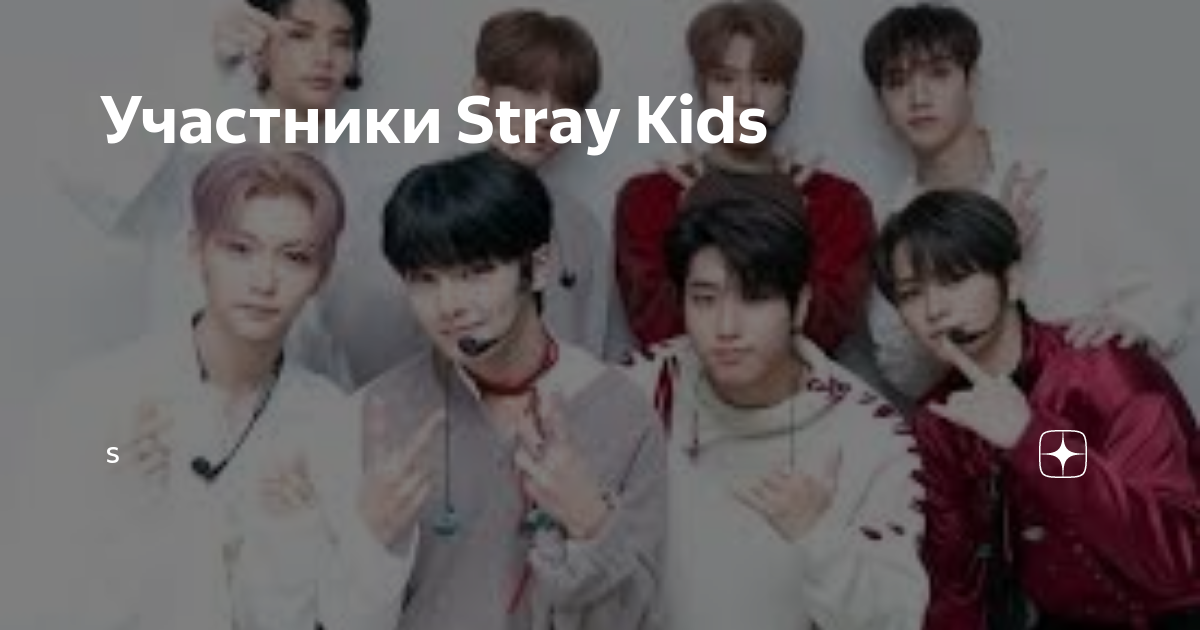 Stray kids участники с именами и фото биография