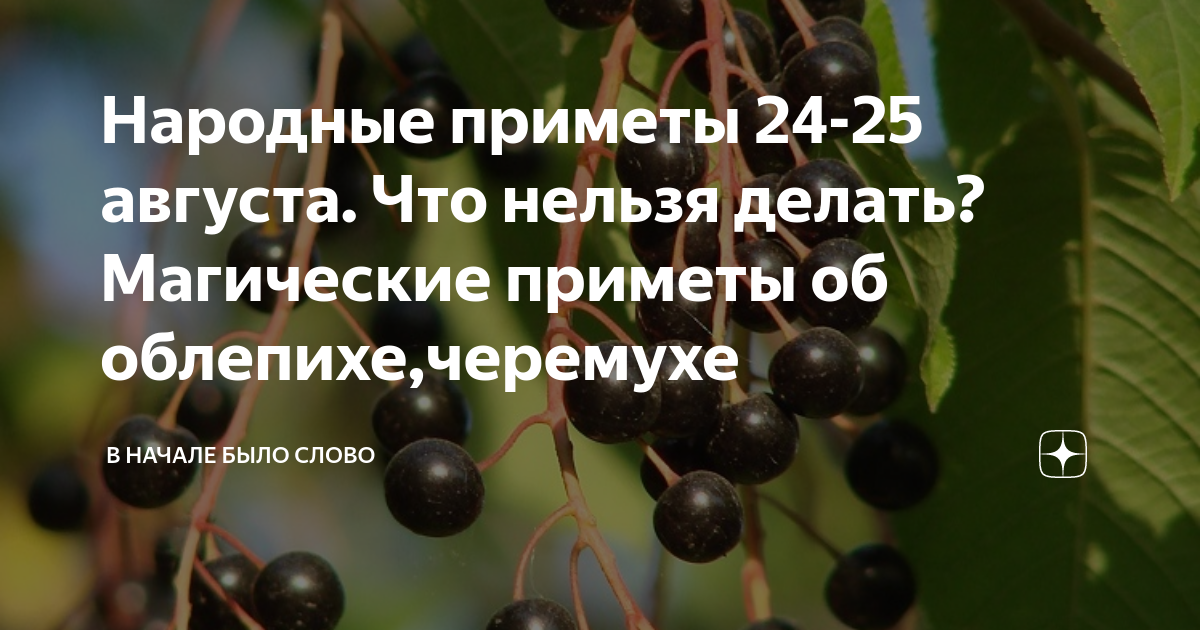 Магические приметы. 25 Августа народные приметы. 24 Июня приметы. 9 Августа что можно что нельзя делать приметы.