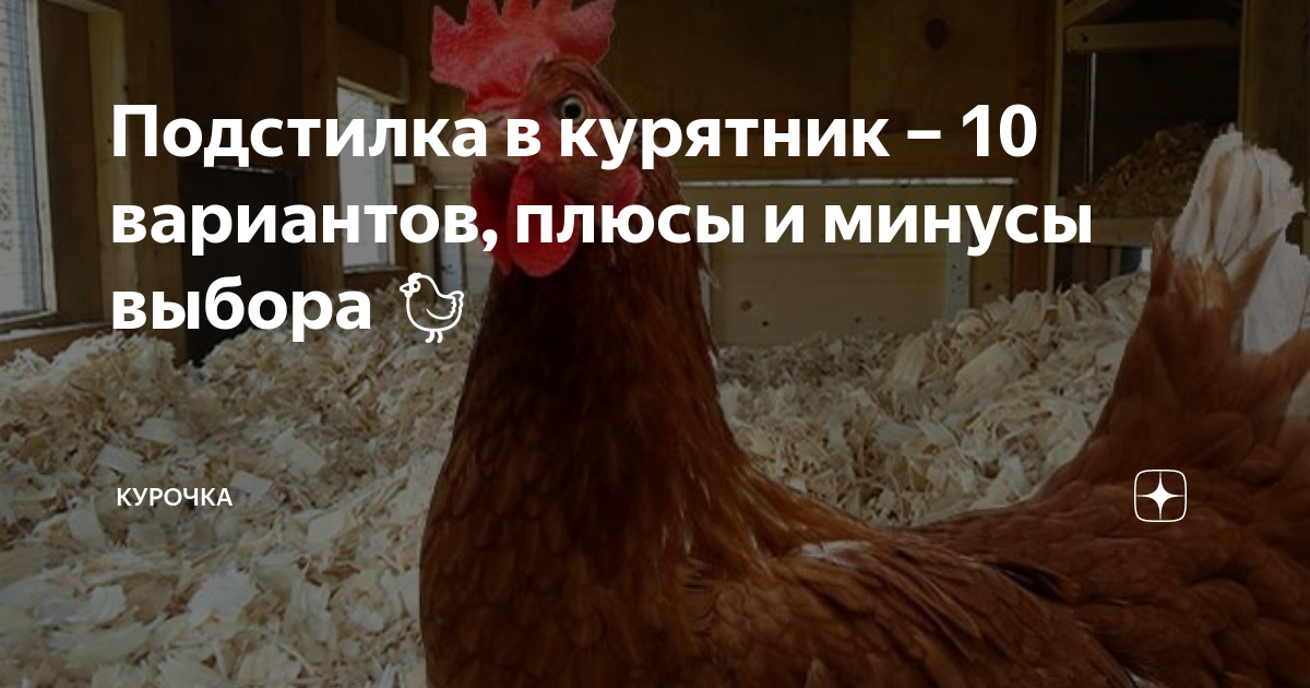 Подстилка в курятник – 10 вариантов, плюсы и минусы выбора 🐔 | Курочка ...