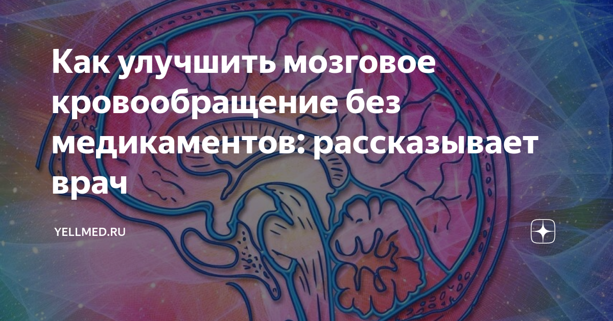 Лучшее для мозгового кровообращения