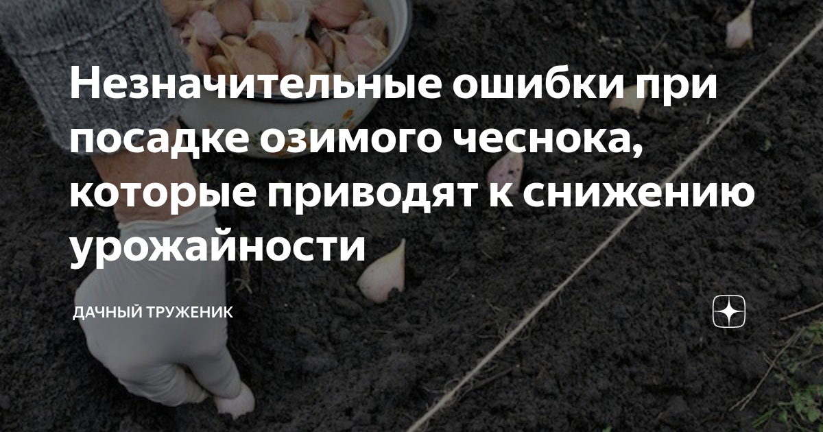График посадки чеснока. Посадка чеснока октябрь 2021. Благоприятные дни для посадки чеснока осенью. Благоприятные дни для посадки чеснока под зиму. Благоприятные дни для посадки чеснока 2022.