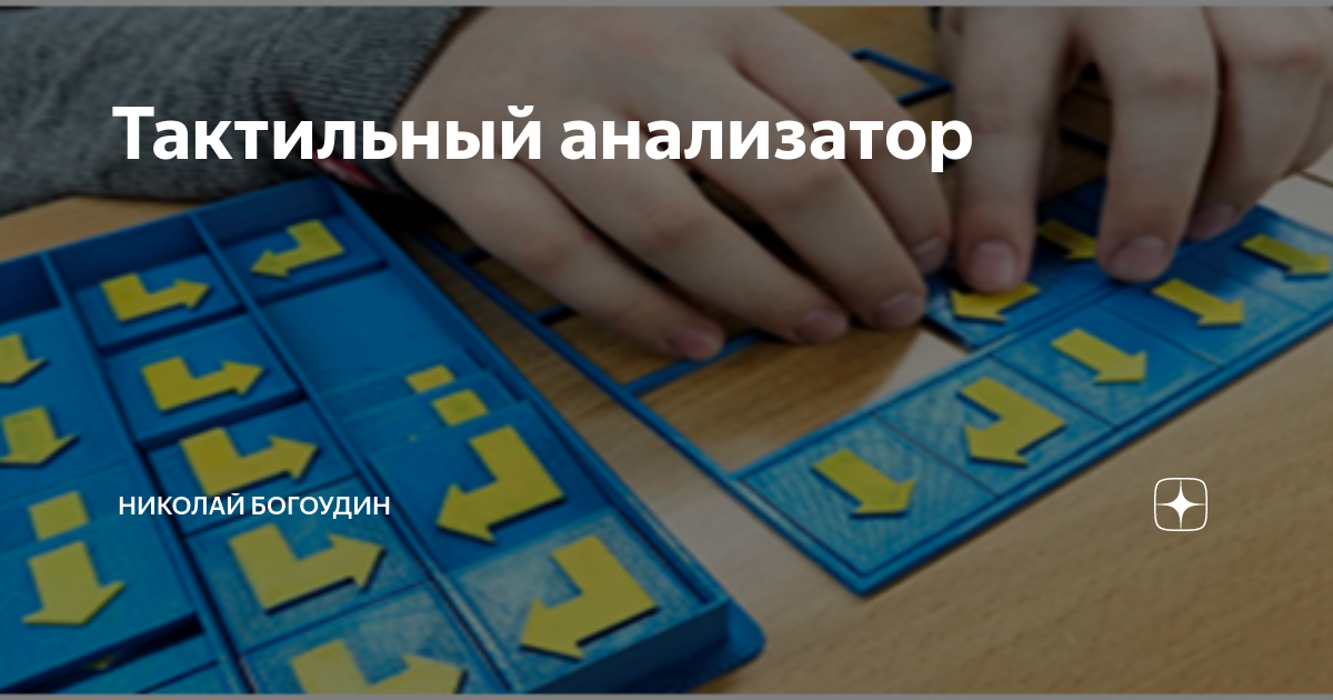 Анализатор тактильных ощущений