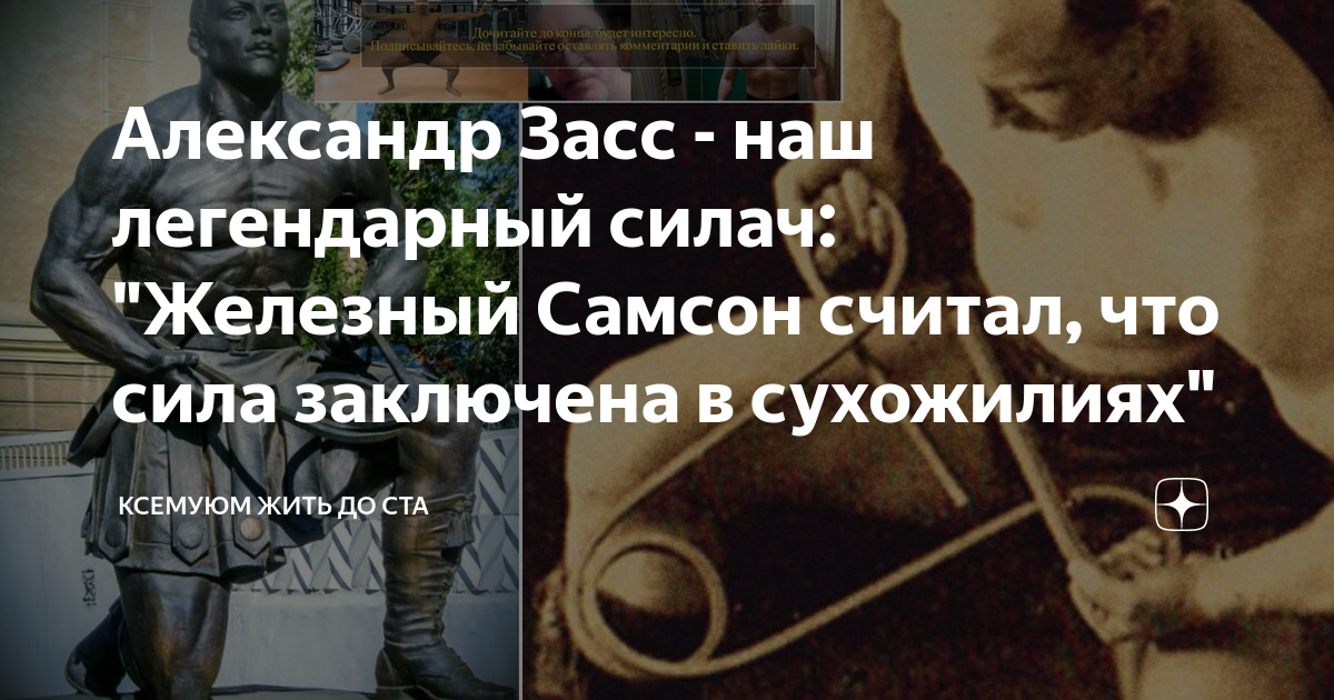 Заключена сила. Александр Засс разоблачение. Александр Засс цитаты. Засс цитата. Цитата Александра Засса.