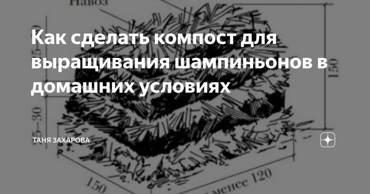 Как сделать компост для выращивания шампиньонов в домашних условиях