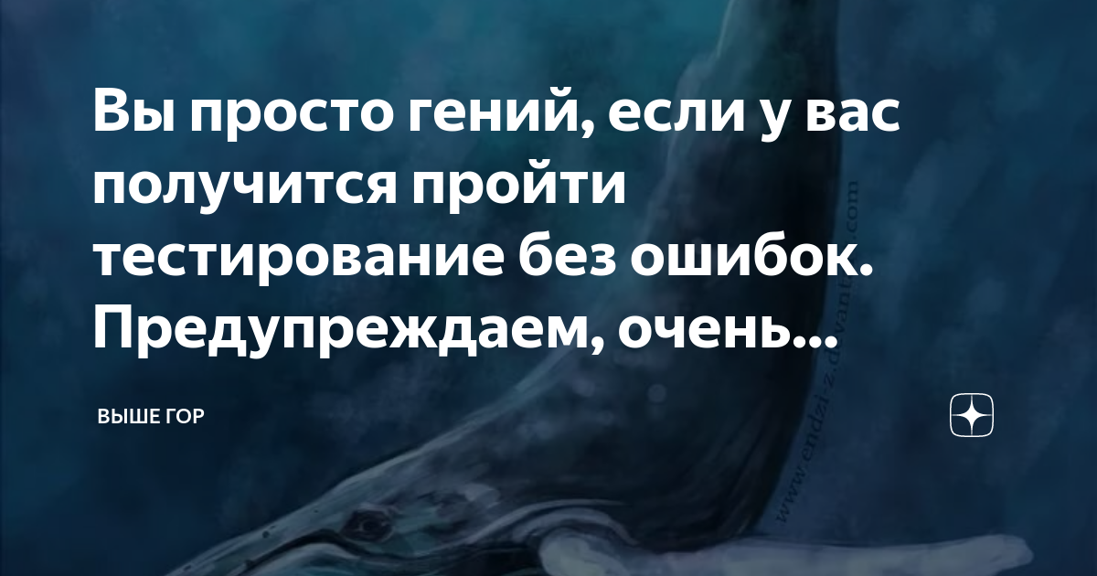 Без ошибок дзен. Без ошибок дзен