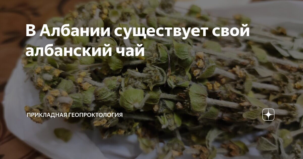 В Албании существует свой албанский чай | Панские путешествия | Дзен