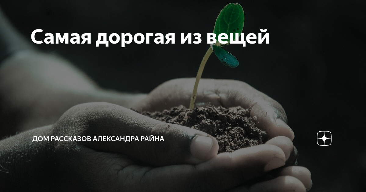 Рассказы райна дзен. Рассказы александра райна дзен читать. Дом рассказов александра райн. Рассказы райна дзен. Рассказы райна дзен.