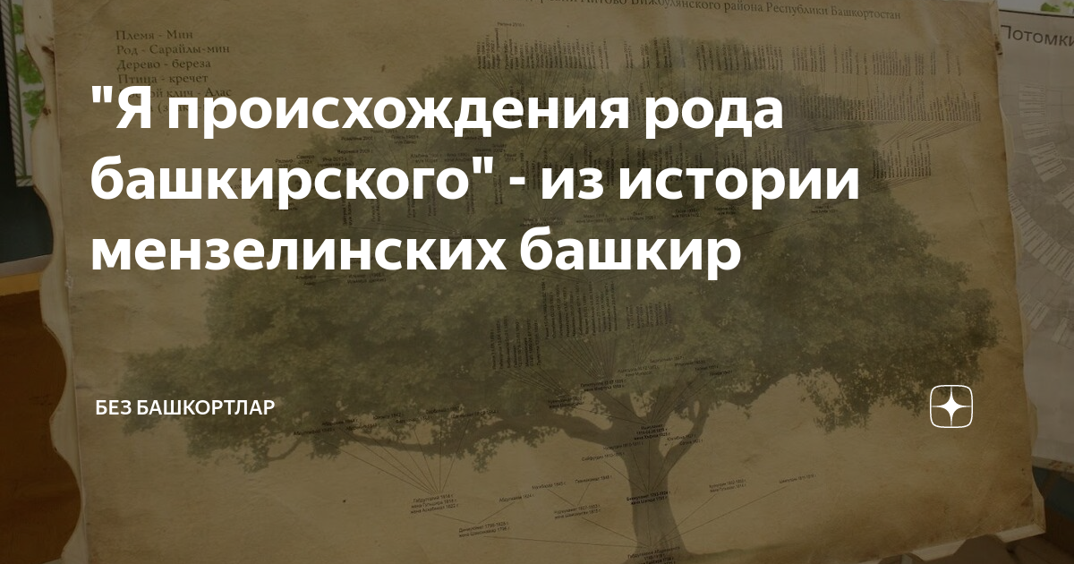 Годунов происхождение рода. Башкирский род мин. Откуда произошел род Хапачевых