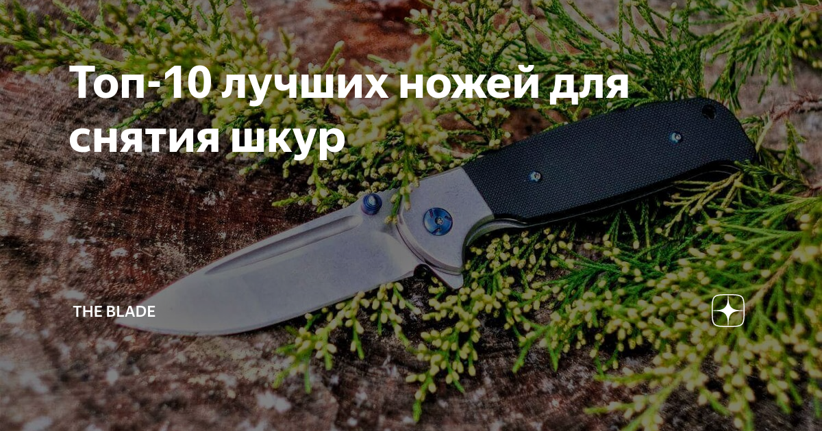 Топ-10 лучших ножей для снятия шкур | The Blade | Дзен