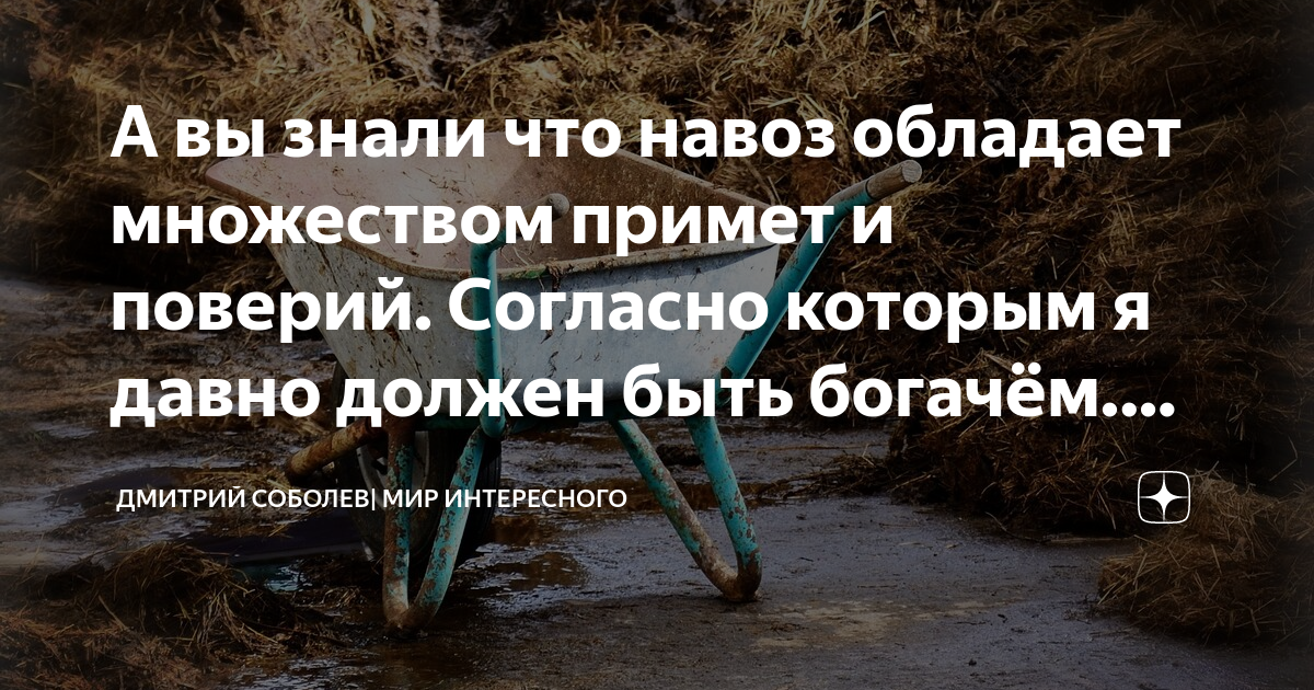 К чему снится навоз во сне женщине