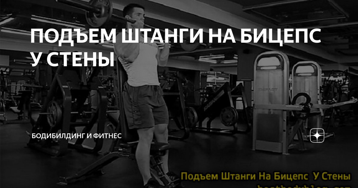 Рекорд подъема на бицепс у стены. Упражнения на руки с грифом. Подъем на бицепс. Бицепс со штангой у стены. Подъем на бицепс у стены.
