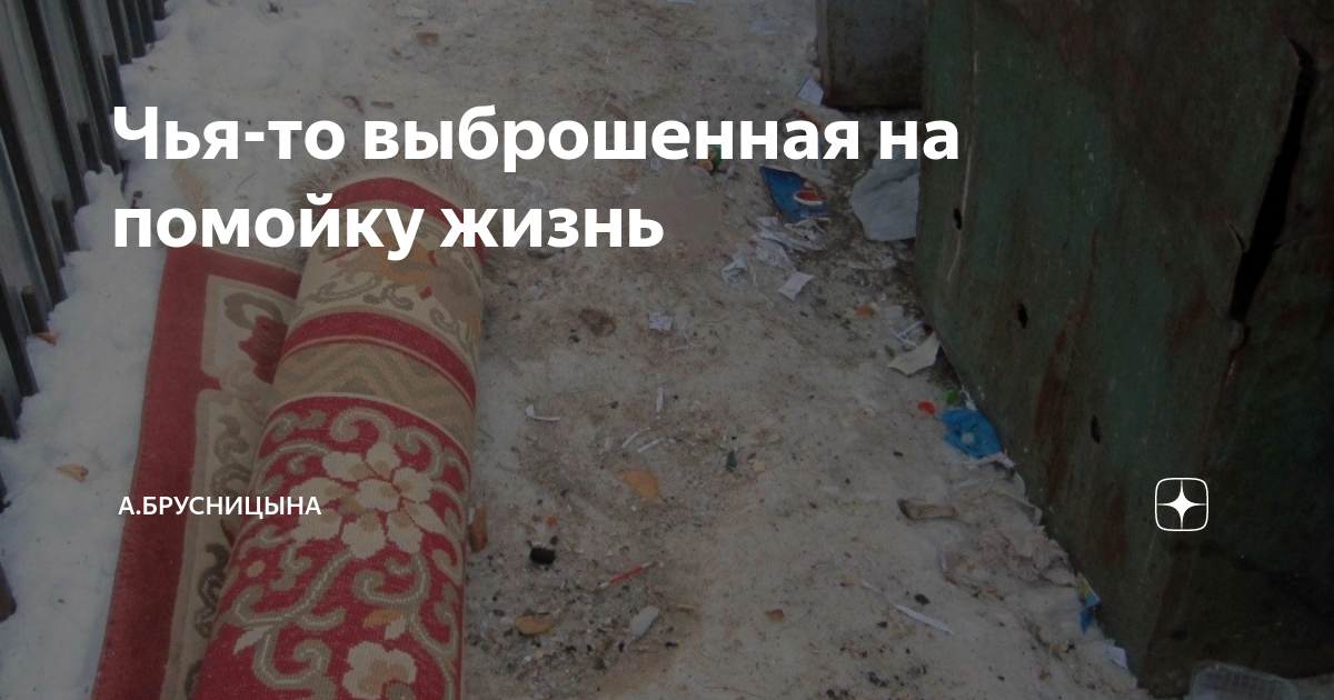 Чья-то выброшенная на помойку жизнь | А.Брусницына. | Дзен