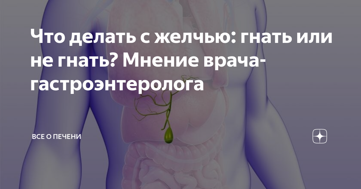 Полгода болел. Что хорошо гонит желчь. Что гонит желчь продукты.