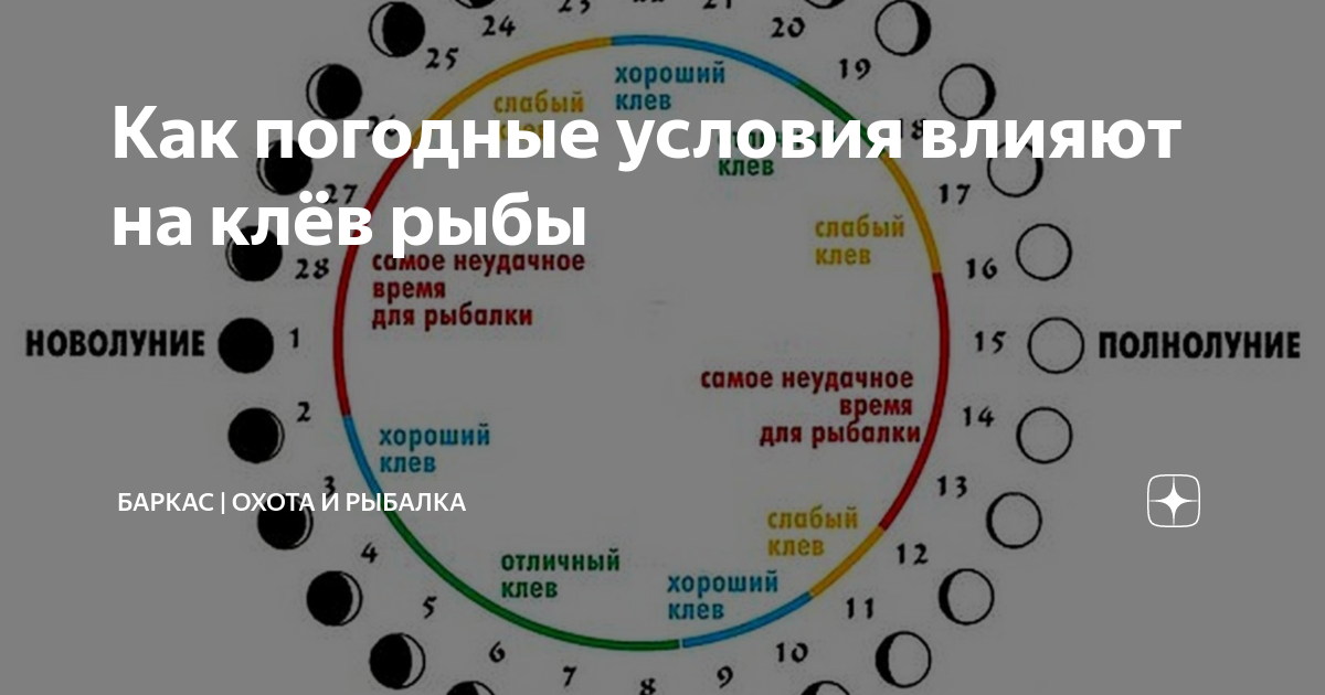 Игорь Гонтарь 2024 ВКонтакте