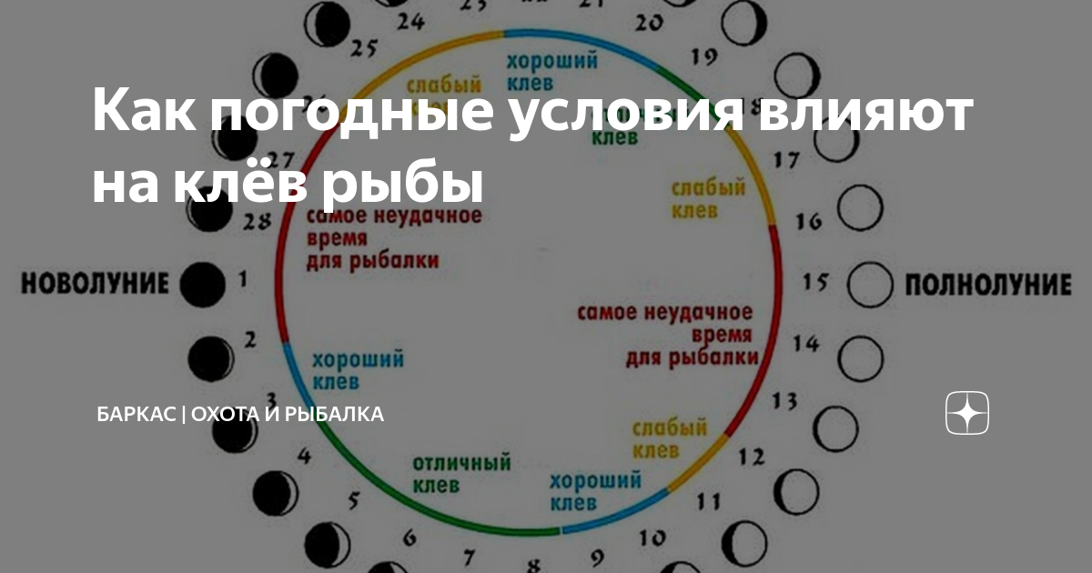 Фазы Луны влияющие на клев рыбы. Влияние фаз Луны на клев. Влияние Луны на клев рыбы. Влияние фаз Луны на клев рыбы зимой.