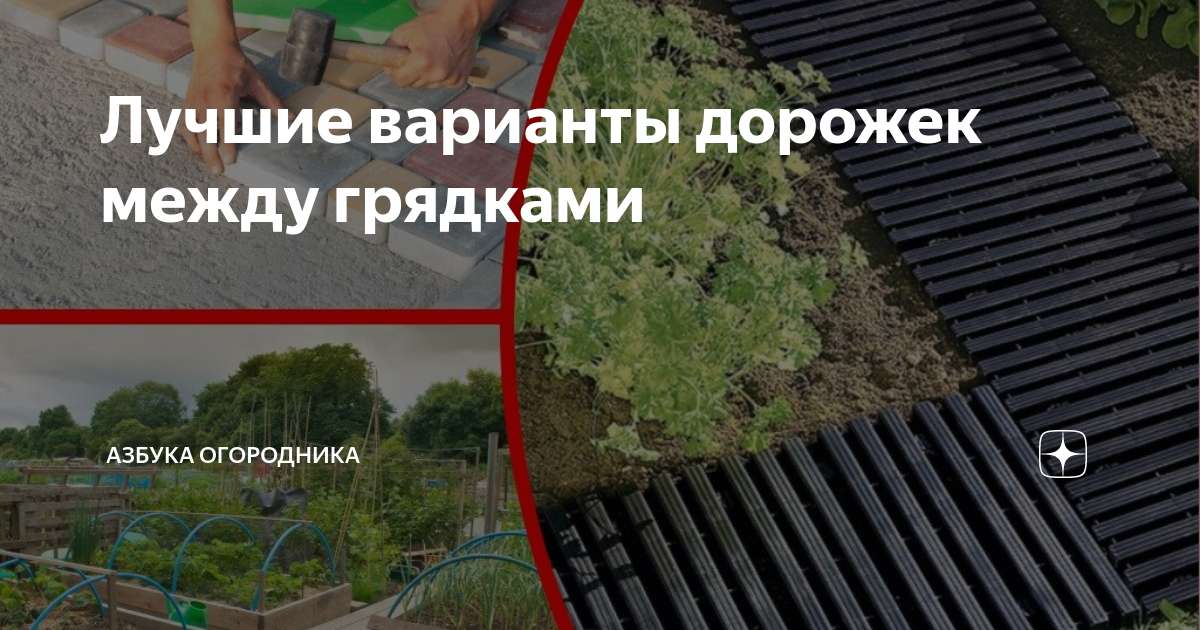 Лучшие варианты дорожек между грядками | Азбука огородника | Дзен