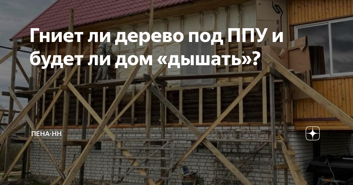 Гниет ли солярис