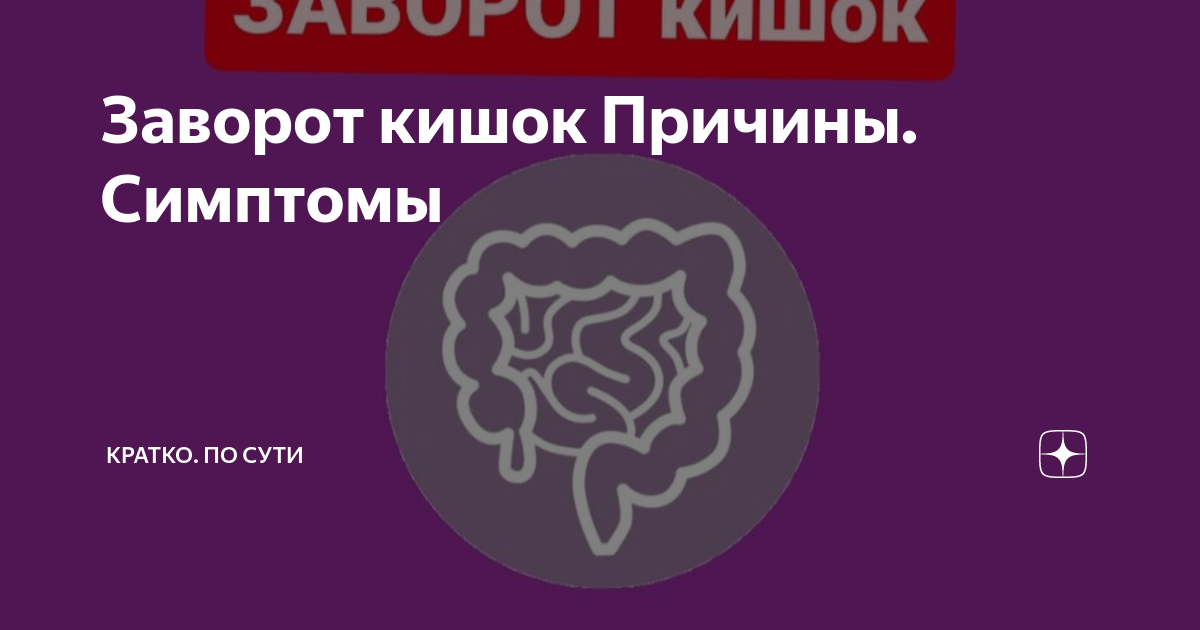 Заворот кишок Причины. Симптомы | Кратко. По сути | Дзен