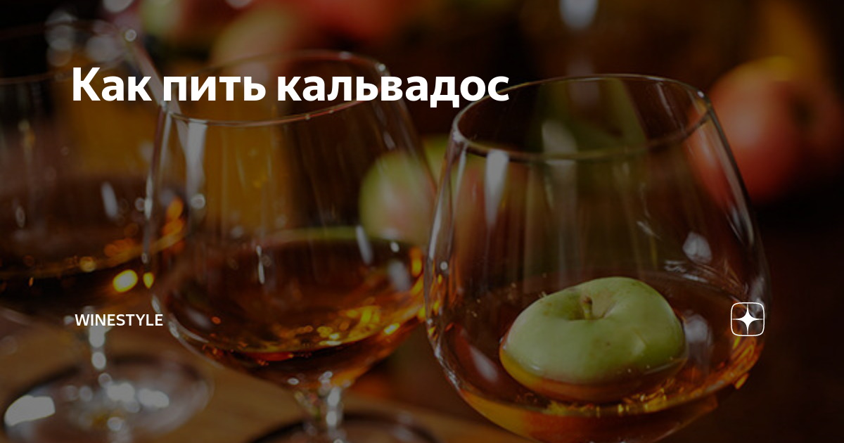 Как пить кальвадос правильно. Армянский кальвадос Карвани. Кальвадос как пить. Бокалы для кальвадоса из чего пить кальвадос. Что крепче вино или шампанское.