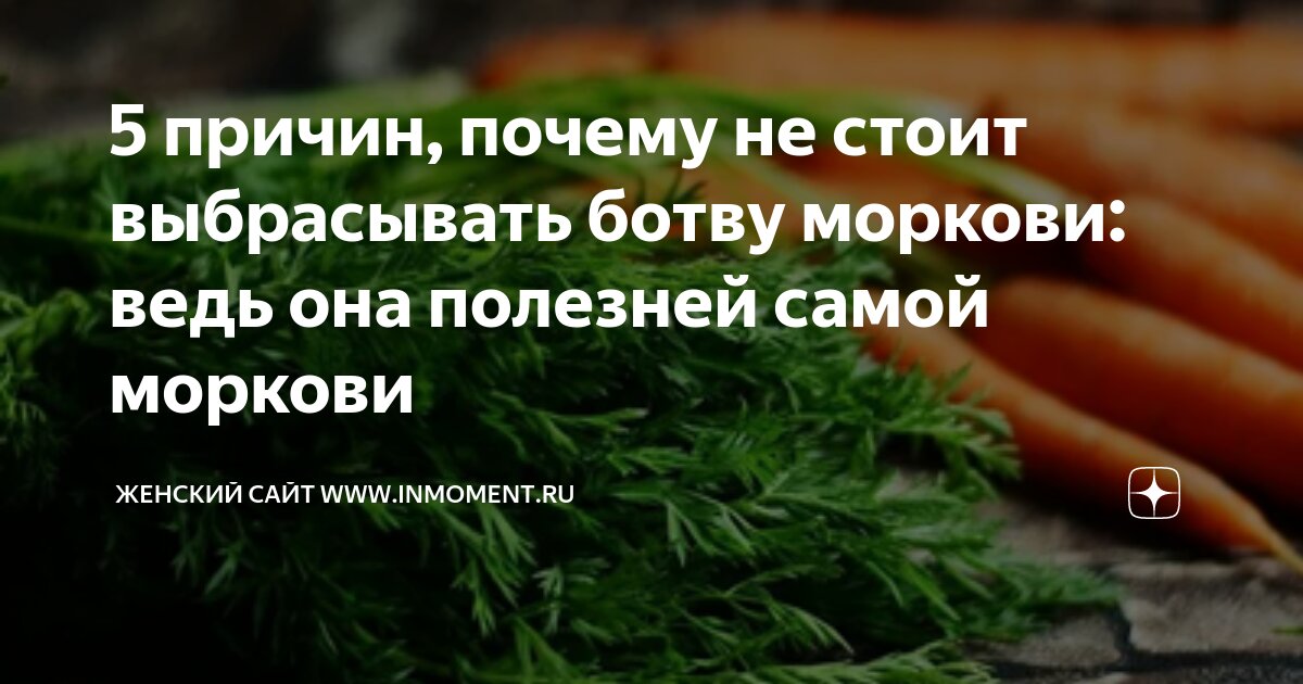 Польза морковной ботвы для человека. Чем полезна ботва моркови для человека. Морковная ботва чем полезна. Ботва моркови польза. Морковная ботва чем полезна для здоровья человека.