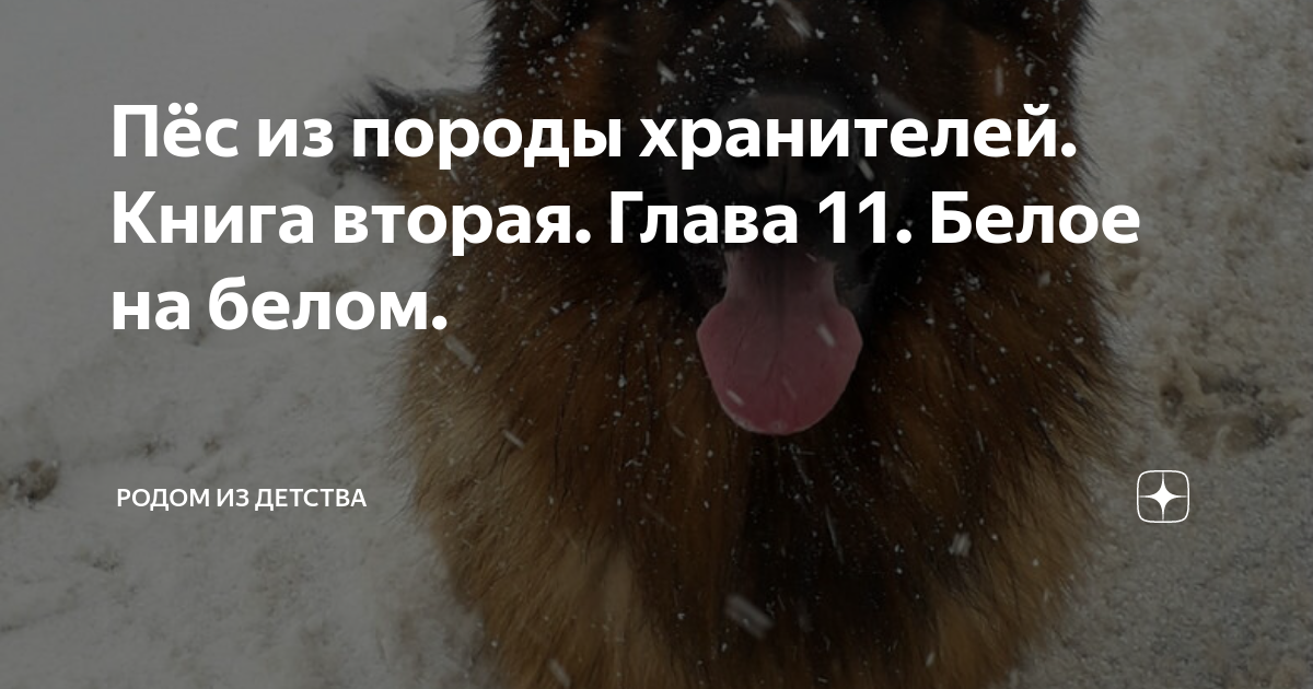 Пёс из породы хранителей. Книга вторая. Глава 11. Белое на белом ...
