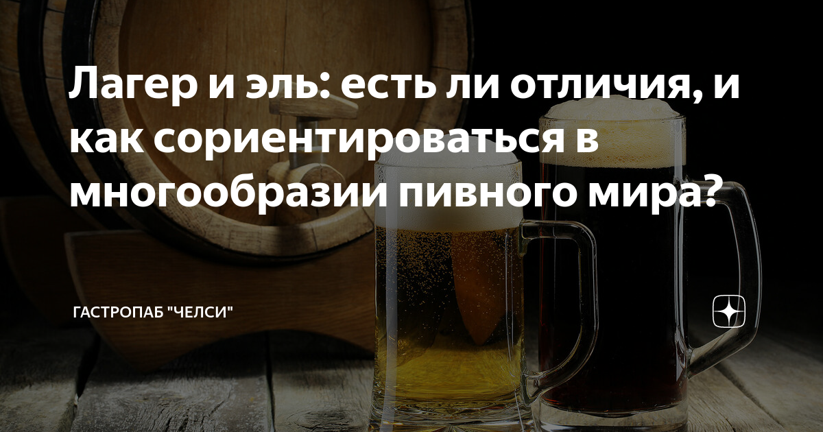 Лагер и эль: есть ли отличия, и как сориентироваться в многообразии ...