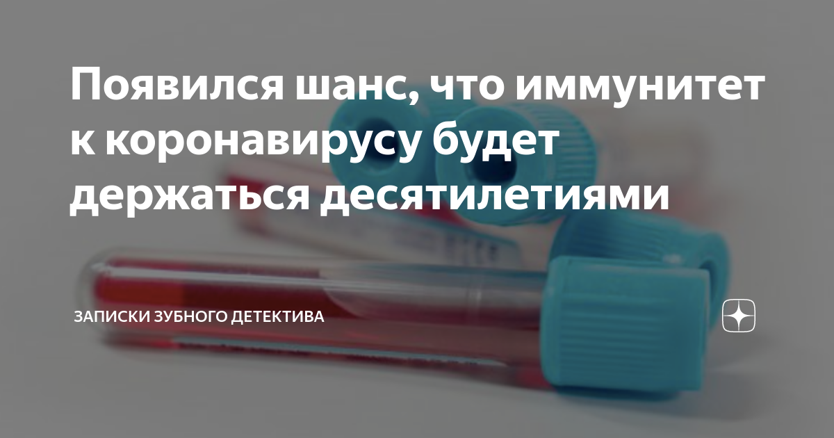 Зубной детектив дзен. Проволока для шинирования зубов купить. Зубной детектив дзен. Зубной детектив дзен. Зубной детектив дзен.
