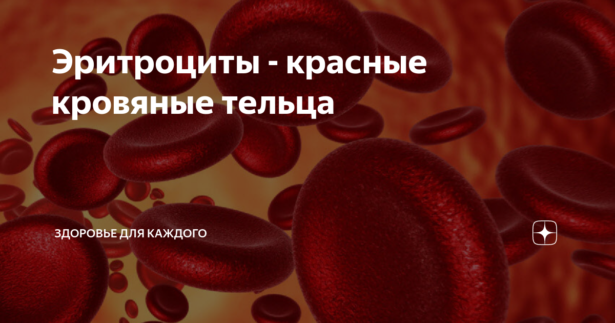 Почему на теле появляются красные точки и пятна и что они значат - 18 апреля - ру